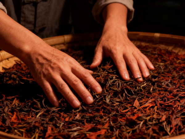 从“喝”到“品”——学会用专业术语描述茶汤