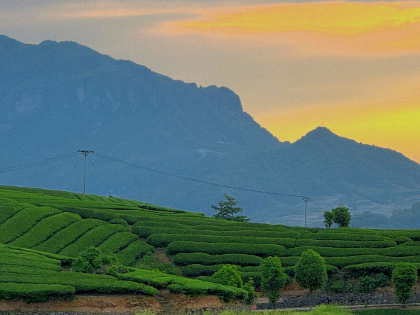 英式下午茶的风行，源于一位公主的思乡病